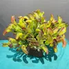 Decoratieve bloemen 1 st Regenwoud Fake Flower Plants Diy Home Garden Bonsai Decoratie Plant Wandmateriaal