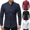 Men's Dress Shirts Business Men Solid Color Stand Collar Button Down Long Sleeve ShirtMen's