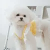 Habillement de chien dentelle princesse robe respirante en peluche en peluche