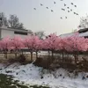 Decorative Flowers Artificial Cherry Tree Landing Simulation Flower Ornaments Large Peach El Wedding Decoration Home