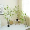 Decorative Flowers Artificial Bell Tree 70-120cm Green Plant Sen Family Home Decoration Ornaments Drunken Branches