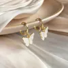 huge shell earrings