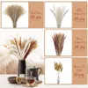 Decorative Flowers BMDT-Boho Decor Pampas Grass 70Pcs 17 Inch Dried Pompous Pampass Plants For Boho Home Bar