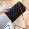 Luksusowa damska marka projektantów torby na ramię 2023 Nowa moda Złota Ball Wealth Baobing Baobing Sieć pojedynczych ramion Cross Body Bag Factory Sprzedaż bezpośrednia