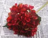 Декоративные цветы элегантные гидранги