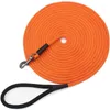 Les colliers de chien rallongent les laisses extérieures longues pour animaux de compagnie grande grande laisse sûre formation corde de marche pour chat 5M/9M/15M