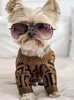 Hundkläder clsassic petrock lyxiga designers varumärke hundkläder bokstäver designer söta valp tröjor kvalitet grossist
