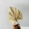 Torkade blommor 5st/Lot Natural Palm Leaves Diy Real Display Fan Leaf för Art Wall Hanging Party Arrange Decoration Y1128 DRO DHUKP