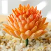 Decorative Flowers Artificial Succulent Simulation Plants Fake Aloe Cactus Landscape Lotus Flower DIY Faux Creative Accessories