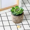 Decorative Flowers 5Pcs Artificial Succulent Pot Mini Plants Bonsai Creative Living Room Bedroom Desktop Ornaments Simulation Fake Plant