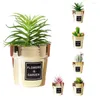 Decorative Flowers Small Nordic Gold-plated Artificial Succulent Bonsai Simulation Potted Plant Cute Desktop Decoration For Home Office