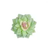 Decorative Flowers 10PCS Artificial Succulents Plants Mini Simulated Unpotted Floral Craft Gifts Home Garden Office Indoor Decoractions