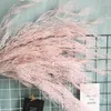 Fiori decorativi Stile INS Modello Rime Nebbia Erba Matrimonio Paesaggio Panno rosa Portaspazzole lungo Pteris artificiale