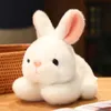 Wielkanocna kreskówka Plush Rabbit Doll Symulacja Rabbit Doll Birthday Prezent Pluszowe ozdoby dekoracyjne