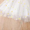 Robes d'été pour filles, robe de princesse pour bébés, imprimé marguerite, manches courtes, maille et dentelle, Patchwork, ligne a, blanc, rose, fête, 2023