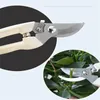 Pruning branches gardening scissors Repair Cut Flower Branches Tools Coarse Branches Fruit Tree Scissors Wholesale