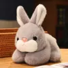 Wielkanocna kreskówka Plush Rabbit Doll Symulacja Rabbit Doll Birthday Prezent Pluszowe ozdoby dekoracyjne