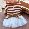 Dog Apparel Puppy Summer Princess Dresses Fashion Knit Stripe Lace Tutu Skirts Small Pet Dogs Clothes Overalls Chihuahua Schnauzer