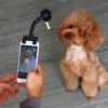 Coprisedili per auto per cani Portable Pet Selfie Stick Phone Attachment Cat Take Pos Training Toy