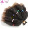 Cabelo de 12 polegadas ombre sintético Braids de cabelo afro de Brailds Afro Bulk Bug Brown Color Culry Crochet Braids Extensão de cabelo Alibaby 230317