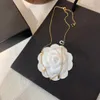 Collares colgantes Diseñador Mujeres Marca Carta 18K Oro Geometría Collar Adecuado para regalos Dando Reunión Social Moda Versátil Joyería Popular OWC7