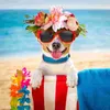 Abbigliamento per cani Ghirlanda per animali domestici Ornamenti nuziali Fascia per capelli Cani Cappelli europei americani Gatti Spiaggia Fiore Sombrero Località balneare