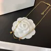 Collares colgantes Diseñador Mujeres Marca Carta 18K Oro Geometría Collar Adecuado para regalos Dando Reunión Social Moda Versátil Joyería Popular OWC7