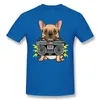 Herr t-skjortor söt hund biter en boombox present tecknad grafisk cool kort hylsa t-shirt topp