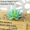 Decorative Flowers Green Purple Pink Red Blue White Flocking Artificial Succulents Plants Christmas Halloween Wedding Party Decoration Fake