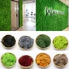 Dekorativa blommor Diy Color Garden Decor Antlers Moss Micro Landscape Multi-färg Valfri odödlig prydnad