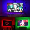 Tiras de led tira led luz RGB 1/2/3/4/5m USB 2835SMD Fita de lâmpada flexível com controle remoto para a luz de fundo da TV Decoração de festa P230315