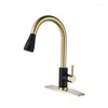 Kitchen Faucets 360 Degree Rotating Sink Faucet Black Pull-down Tap 304 Stainless Pull Out