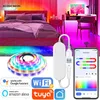 Paski LED USB Tuya LED Strip Light Smart Wi -Fi RGBIC Dreamcolor LED Pasek 5V WS2812B Adresowalny wsparcie lampy lekkiej Alexa Google dla domu P230315