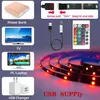 Paski LED LED Light WS2812B 1M-30M RGB 5050 String Elastyczna taśma lampy DC 5V USB Bluetooth Control TV Podświetlenie Dekoracja imprezy domowej P230315