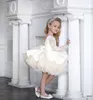 Girl's Dresses Little Girls Sparkly Sequin Dress Long Sleeve Kids Birthday Outfits Children Formal Cocktail Pageant Dresses Tutu V-back Bow W0314