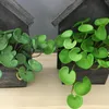 Dekorative Blumen Holzhaus Retro Kupfer Geld Gras Hause Künstliche kleine Topfpflanze Gefälschte Rettich Bonsai