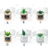 Decorative Flowers Artificial Plants Bonsai Cactus Pot Fake Potted Ornaments Flores Artificiales Para Decoracion Hogar