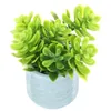 Fleurs décoratives minuscule bonsaï jardinière ornement enfants Mini plantes en pot décor modèle Miniature maison accessoires