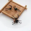 Brincos de garanhão punk spider preto para homens homens hip hop 3d animal engraçado Halloween Jewelry Gift Party