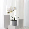 Decorative Flowers 33-50cm Big Artificial Phalaenopsis Potted Fake Plants Desktop Bonsai Plastic Flower Orchid Branch For Home Garden