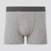 Caleçon ICOOL Sexy Hommes SUPIMA COTON Blanc Noir Gris Couleur Unie Sous-Vêtements Boxer Shorts Mi-Taille Gay