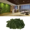 Fiori decorativi 10g Pianta verde artificiale Immortale Fiore finto Muschio Erba Casa Soggiorno Parete Accessori paesaggistici fai da te