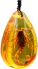 Natuurlijke Insect Steen Amber Baltische Hanger Ketting Woondecoratie Steen Bruiloft Reizen Gift262e