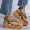 Sandals Tassels Clip Toe Summer Women Sandals Flower Printed Wedges Sandals Woman Plus Size Non Slip Casual Shoes Female 230320