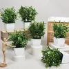 Декоративные цветы зеленые искусственные растения бонсай моделирование горшечного столешницы