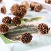 Decorative Flowers 20Pcs Natural Dried Plants Pine Cone Artificial Flower For Home Christmas Decor DIY Garland Wreath Wedding Decoration