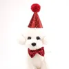 Odzież dla psów 2PC/SET PET CAP z Bowknot Cat Birthday Costume Zestaw Zestaw Zestaw cekinowych wystroj