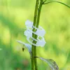 Forniture da giardino Altro 50 pz/pacco Mini clip per innesto in plastica trasparente Supporti per piante di pomodoro Collega clip per semina di piante di vite #30