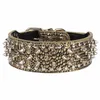 Collari per cani Traumdeutung Cani di grossa taglia Animali a spillo Accessori Forniture personalizzate per una grande collana Collare per animali domestici Halsband Hond