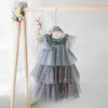 Девушка платья для девушек платье детская одежда мода радужная цветовая платья для торта платья